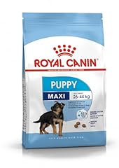 Royal canin alimento usato  Spedito ovunque in Italia 