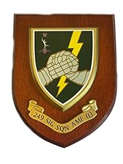249 signal squadron for sale  Delivered anywhere in UK