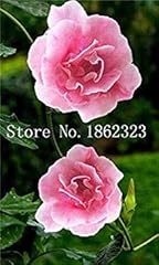 Potseed 100 pcs for sale  Delivered anywhere in UK