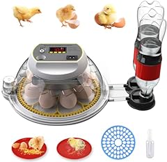 Detodda eggs incubators for sale  Delivered anywhere in UK