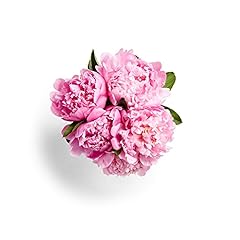 Floral peony stem for sale  Delivered anywhere in USA 