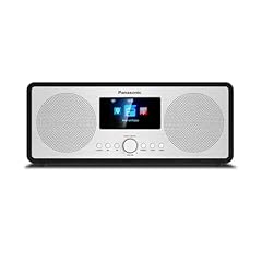 Panasonic d40eg radio usato  Spedito ovunque in Italia 