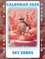 Sky songs calendar for sale  Delivered anywhere in UK
