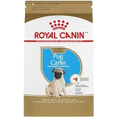 Royal canin pug for sale  Delivered anywhere in USA 