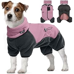Jack russell dog for sale  Delivered anywhere in UK