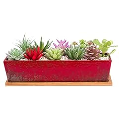 Artketty succulent pots for sale  Delivered anywhere in USA 