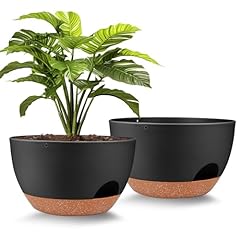 Vanslogreen plant pots for sale  Delivered anywhere in USA 