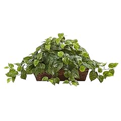 Nearly natural pothos for sale  Delivered anywhere in USA 