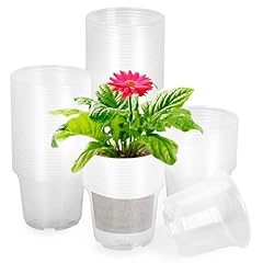 Oupsaui clear nursery for sale  Delivered anywhere in USA 