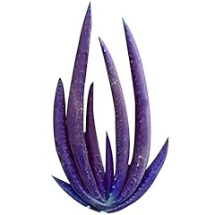 Generic pianta succulenta usato  Spedito ovunque in Italia 