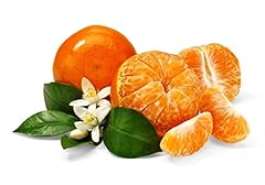 Honey tangerines 5lb for sale  Delivered anywhere in USA 