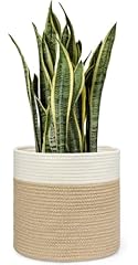 Dahey jute spliced for sale  Delivered anywhere in USA 