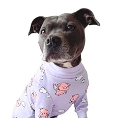 Spark paws dog for sale  Delivered anywhere in UK