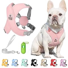Patas lague dog for sale  Delivered anywhere in USA 