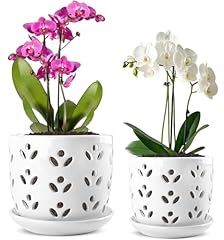 Remiawy orchid pot for sale  Delivered anywhere in USA 