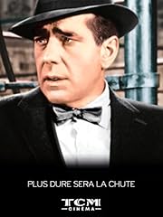 Dure chute d'occasion  Livré partout en France