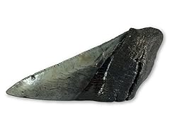 Authentic fossil megalodon for sale  Delivered anywhere in USA 