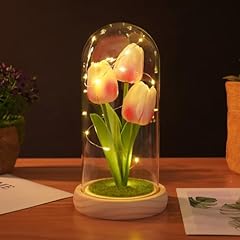 Creperture tulpen blume gebraucht kaufen  Wird an jeden Ort in Deutschland