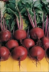 Beetroot plug plants for sale  Delivered anywhere in Ireland