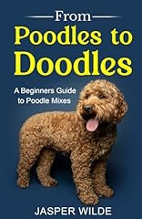 Poodles doodles beginners for sale  Delivered anywhere in USA 