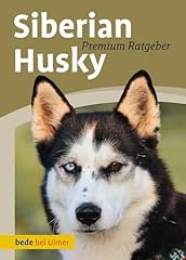 Siberian husky gebraucht kaufen  Wird an jeden Ort in Deutschland