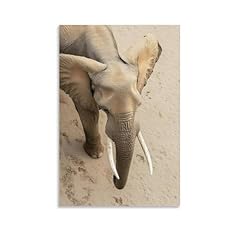 éléphant défenses ivoire d'occasion  Livré partout en France