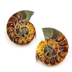 2pcs natural polished for sale  Delivered anywhere in USA 