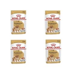 Royal canin pomeranian usato  Spedito ovunque in Italia 