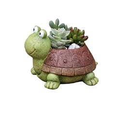 Youfui turtle plant for sale  Delivered anywhere in USA 