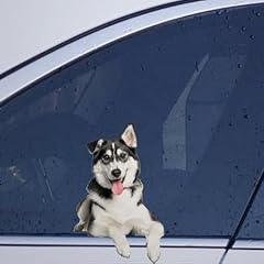 Mixed breed siberian for sale  Delivered anywhere in USA 
