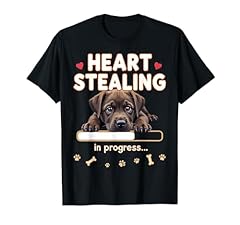 Heart cane corso for sale  Delivered anywhere in UK