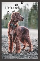 Red setter notebook. for sale  Delivered anywhere in Ireland