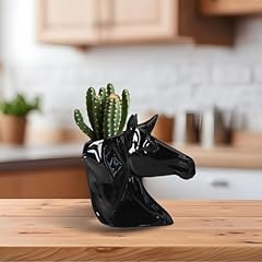 Cute ceramic succulent for sale  Delivered anywhere in USA 