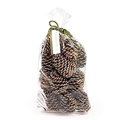 Andaluca pinecone vase for sale  Delivered anywhere in USA 