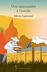 salamandre poele chauffage d'occasion  Livré partout en France