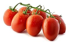 Pomodoro datterino 250gr. usato  Spedito ovunque in Italia 