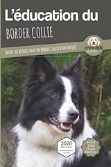 éducation border collie d'occasion  Livré partout en Belgiqu