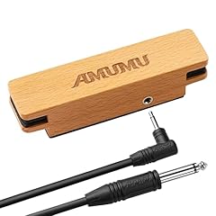 Amumu sp30 schallloch gebraucht kaufen  Wird an jeden Ort in Deutschland
