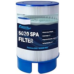 5020 spa filter for sale  Delivered anywhere in USA 