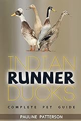 Indian runner ducks for sale  Delivered anywhere in USA 