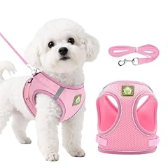 Doineufl puppy harness for sale  Delivered anywhere in UK