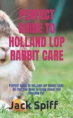 Perfect guide holland for sale  Delivered anywhere in USA 