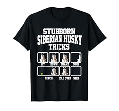 Stubborn siberian husky for sale  Delivered anywhere in UK