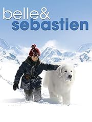 Belle sebastien usato  Spedito ovunque in Italia 