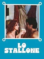 Stallone usato  Spedito ovunque in Italia 