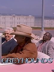 Greyhounds for sale  Delivered anywhere in UK