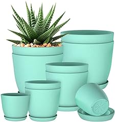 Utopia home plant for sale  Delivered anywhere in USA 