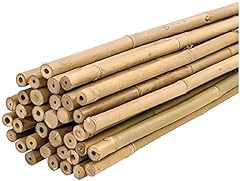 Plantawa bambusstäbe 150 gebraucht kaufen  Wird an jeden Ort in Deutschland
