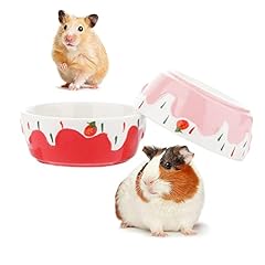 Pcs hamster ceramic for sale  Delivered anywhere in USA 