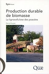 Production durable biomasse d'occasion  Livré partout en France